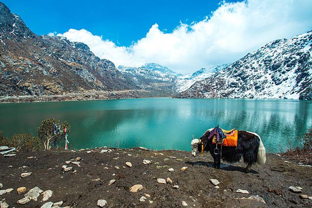 GANGTOK-TOUR
